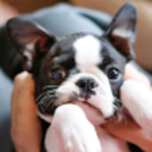 Meet your Posher, Jocelyn